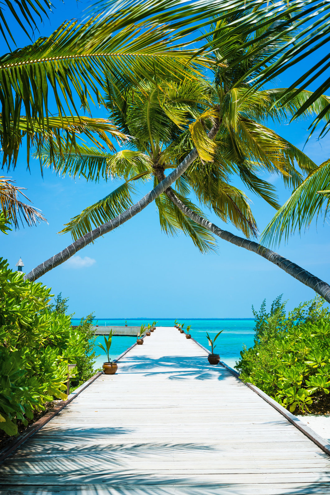 Jetty in Maldives, Herathera island, Addu atoll, Maldives