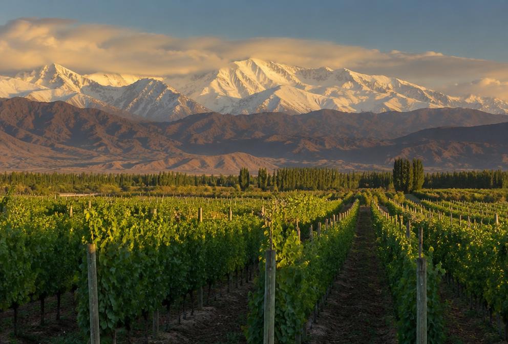 Enoturismo en Mendoza