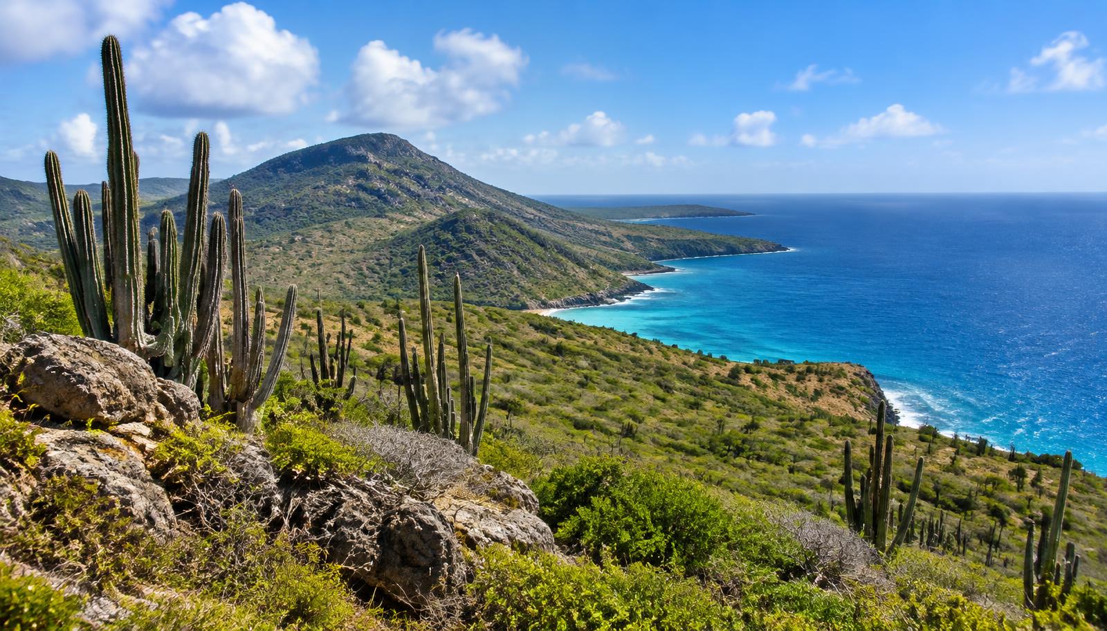 Imagen de referencia de Curaçao esencial