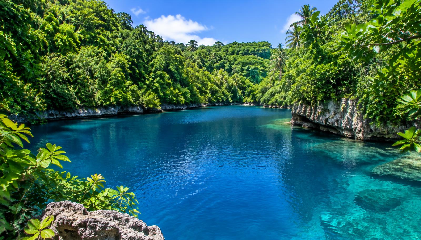 Imagen de referencia de Jamaica natural