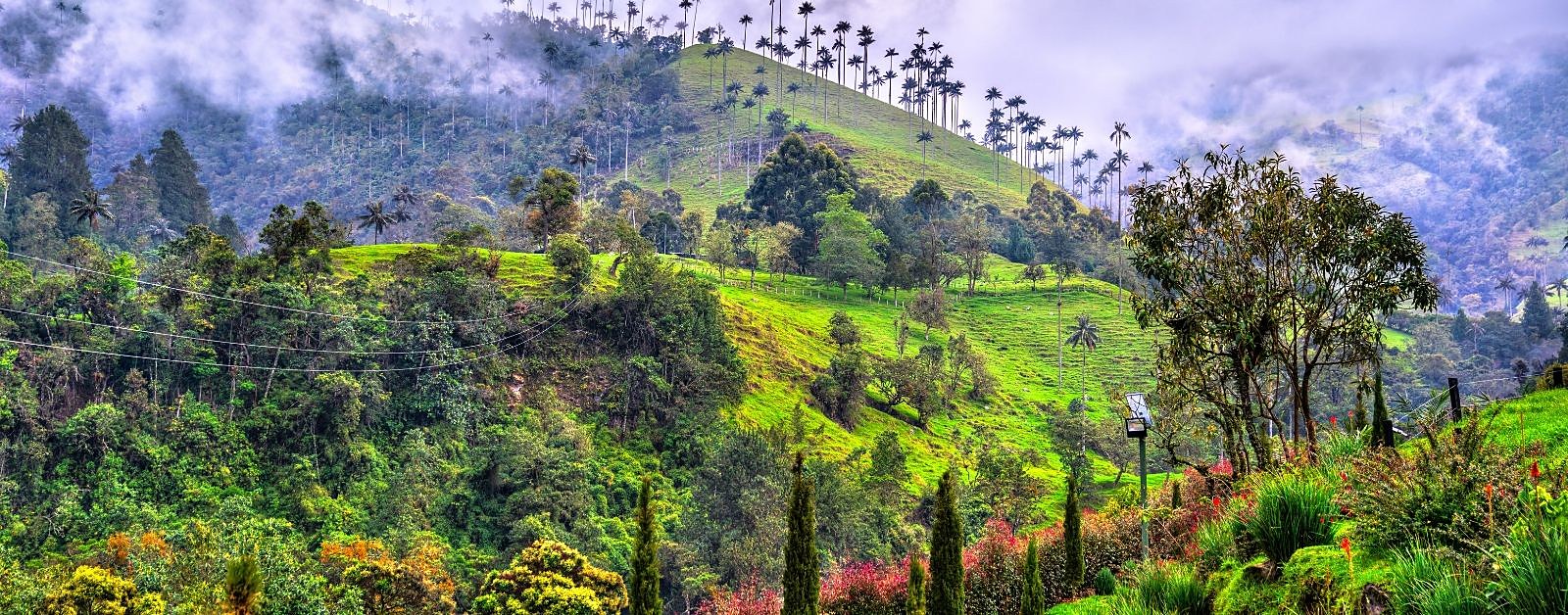 Imagen de referencia de Eje Cafetero y Medellín