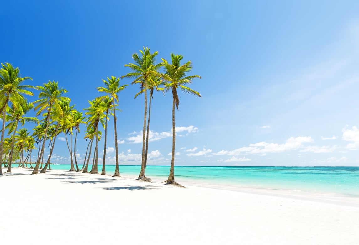 Coconut Palm trees on white sandy beach in Punta Cana, Dominican Republic